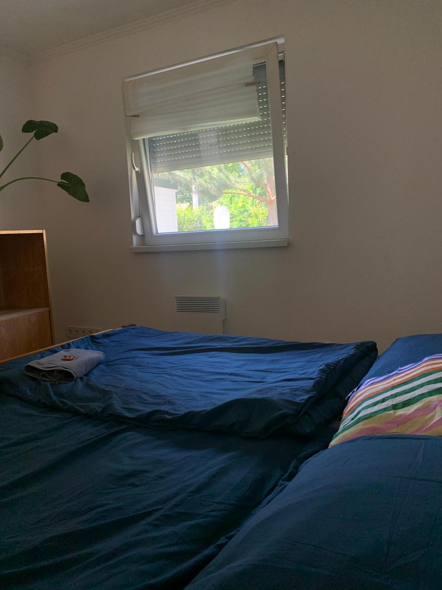 Villa Marika Vendeghaz Szigetmonostor Esterno foto